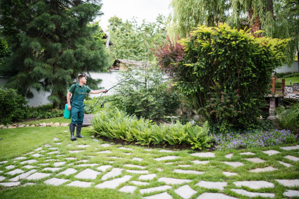 Best Ant Control Services  in Radium Springs, NM
