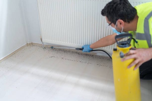 Best Best Pest Control Companies  in Radium Springs, NM